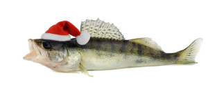 Santa hat in Walleye